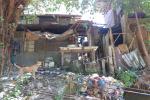 Shacks next to the River with streetdog 