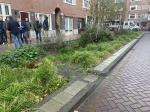 Fieldvisit 7 november 2023 - credit by Antal Zuurman