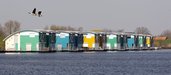 View of the floating houses in Maasbommel