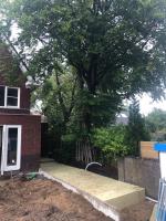 Photo: Rockwool Rainwater Systems