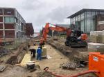 Photo: Rockwool Rainwater Systems