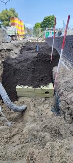 Photo: Rockwool Rainwater Systems