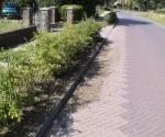 Maintenance problem - cause of clogging - credit Antal zuurman