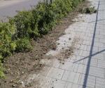 Maintenance problem - cause of clogging - credit Antal zuurman