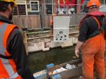 Photo: Rockwool Rainwater Systems