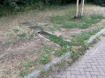 Veldbezoek 12 juli 2023 - credit nu Antal Zuurman