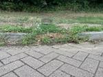 Veldbezoek 12 juli 2023 - credit nu Antal Zuurman