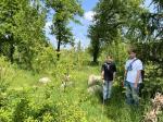 Fieldvisit 9th of may 2024 - credit by Antal Zuurman