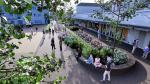 Ontwerp voor een groener Zuidplein in Malden. © Gemeente Heumen