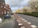 Groene struik langs de weg