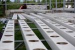 Hydroponics system