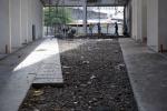 Future raingarden