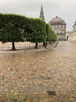Fieldvisit 15th of june 2019 - credit by Antal Zuurman