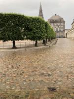 Fieldvisit 15th of june 2019 - credit by Antal Zuurman