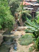 Lahug-Guadalupe Bridge