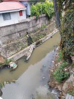 Lahug-Guadalupe Bridge