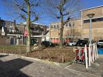 Fieldvisit 2nd of march 2024 - credit by Antal Zuurman