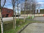 Fieldvisit 3rd of march 2024 - credit by Antal Zuurman
