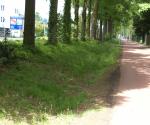 veldbezoek 18 mei 2010 - credit by Antal Zuurman
