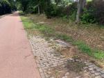 Veldbezoek 12 juli 2023 - credit nu Antal Zuurman