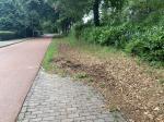 Veldbezoek 12 juli 2023 - credit nu Antal Zuurman