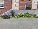 Geveltuin 1