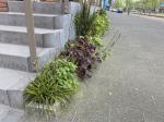 Geveltuin 2