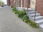 Geveltuin 3