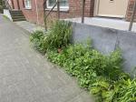 Geveltuin 4