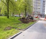 april 2010 - aannemerswerkzaamheden - gronddepot - credit by Antal zuurman