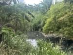 Butuanon River