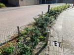 Regenwater van de rijbaan gaat eerst via nieuw groenvak en dan pas naar de bestaande kolk