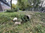 Credit photo by gemeente Leidschendam-Voorburg