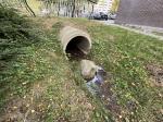 Credit photo by gemeente Leidschendam-Voorburg