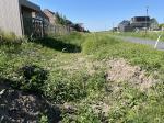 Field visit 28th of august 2024 - credit by Gemeente Zwartewaterland