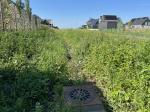Field visit 28th of august 2024 - credit by Gemeente Zwartewaterland