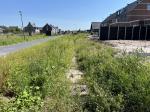Field visit 28th of august 2024 - credit by Gemeente Zwartewaterland