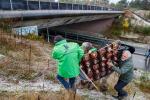 De Faunabescherming protesteert tegen afsluiting van het ecoduct Oud Reemst door Park de Hoge Veluwe. © Gelderlander en Herman Stöver