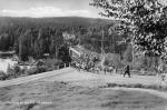 Reindeer crossing a bridge at Gäddede, Jämtland, Sweden 1930-1940. Photo: wikimedia