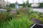 Southwest Resiliency Park (photo: ASSEMBLAGE landscape architecture)