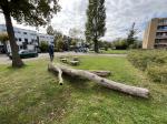 Credit photo by gemeente Leidschendam-Voorburg