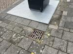 Credit photo by gemeente Leidschendam-Voorburg