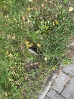 Credit photo by gemeente Leidschendam-Voorburg