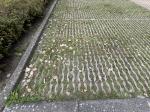 Credit photo by Gemeente Leidschendam-Voorburg