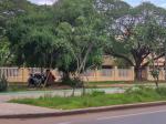 Locals making use of the shade; Fieldvisit 13 July 2024 - by Ruben Matahelumual