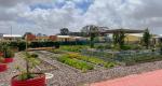 https://www.liv-village.com/liv-cape-town-food-garden/