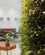 https://www.verdehotels.com/capetown/green-story/