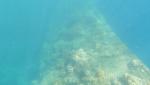 Coral on Gunboat; Fieldvisit 13 May 2024 - by Ruben Matahelumual