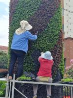 Planting of public green spaces