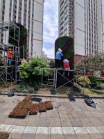 Planting of public green spaces
